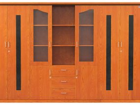 TỦ TÀI LIỆU VENEER