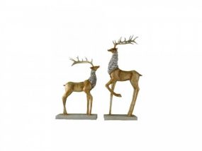 doi-huou-slider-555x400