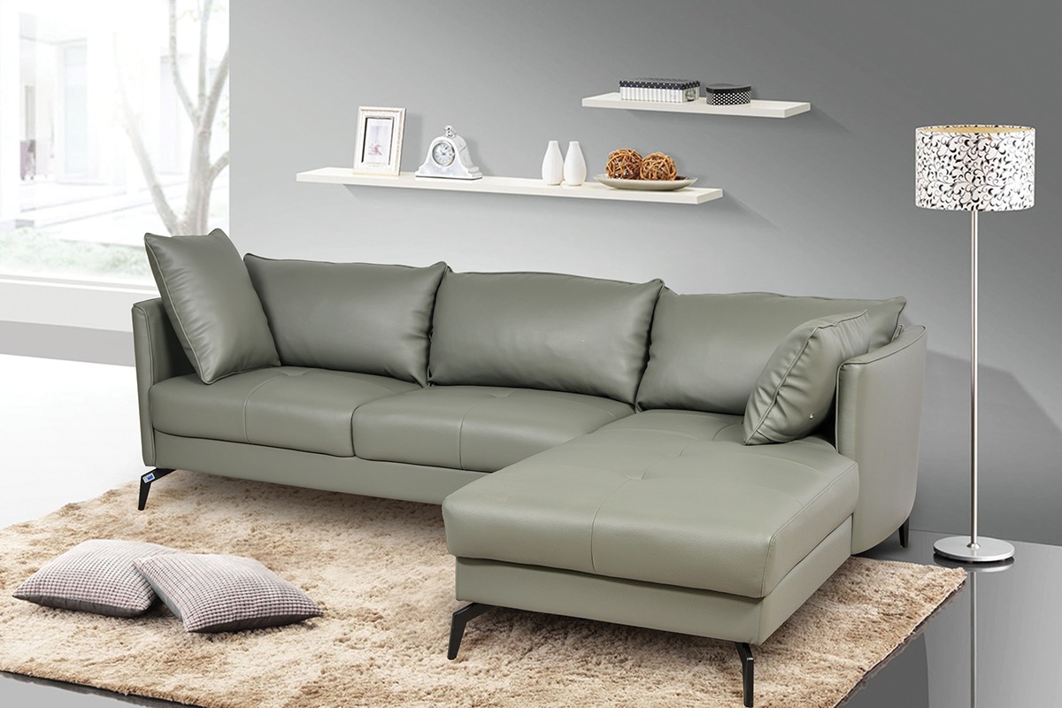 sf501-web-1
